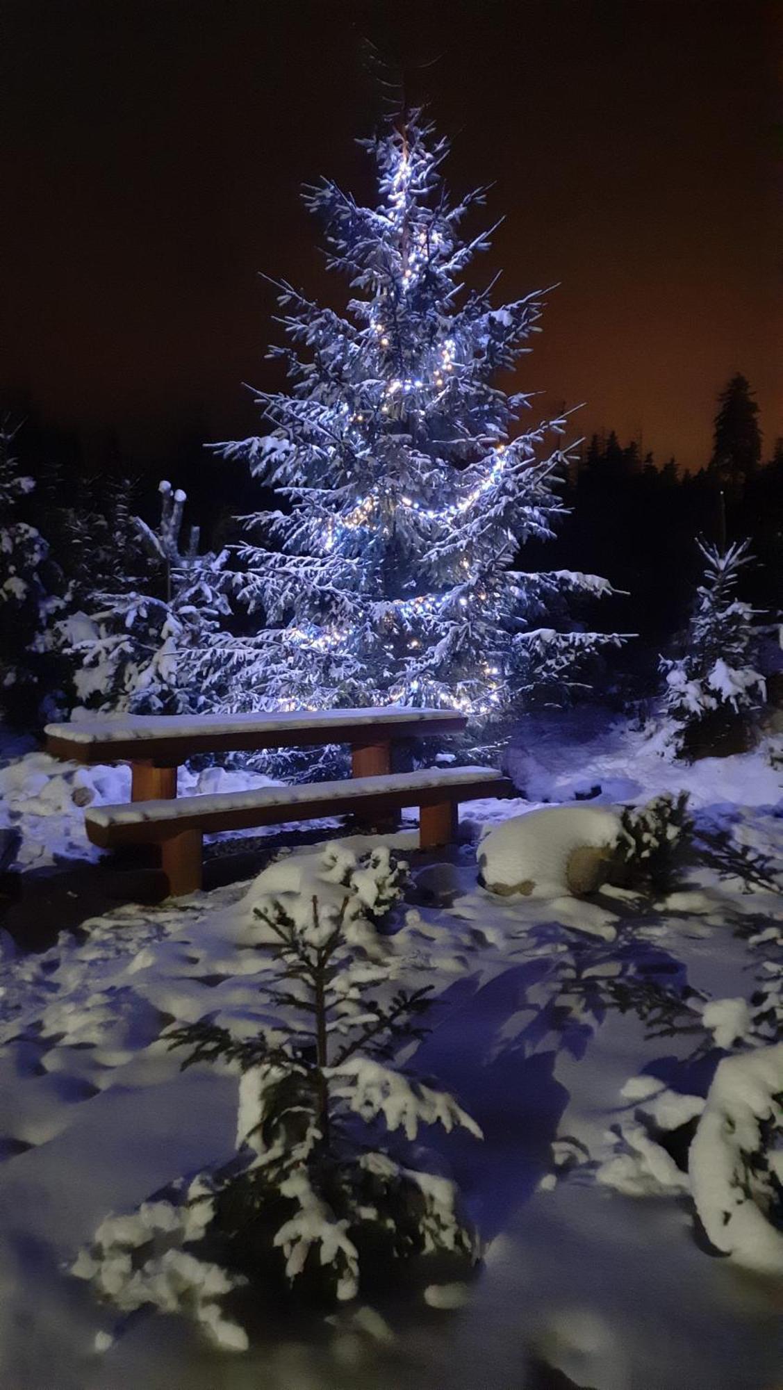 Goralska Chata Przy Dolinie Chocholowskiej Witow  Exterior photo