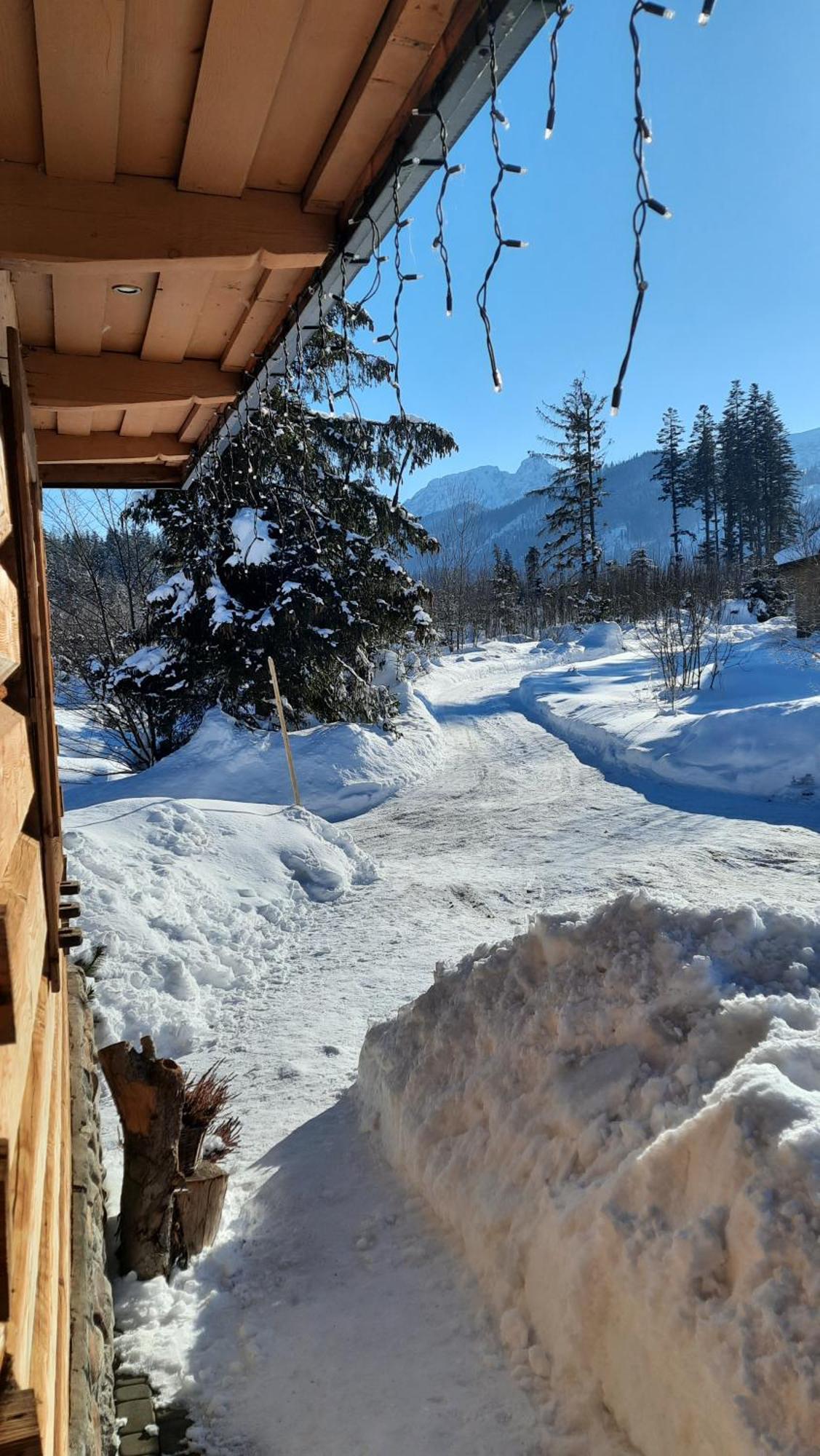 Goralska Chata Przy Dolinie Chocholowskiej Witow  Exterior photo