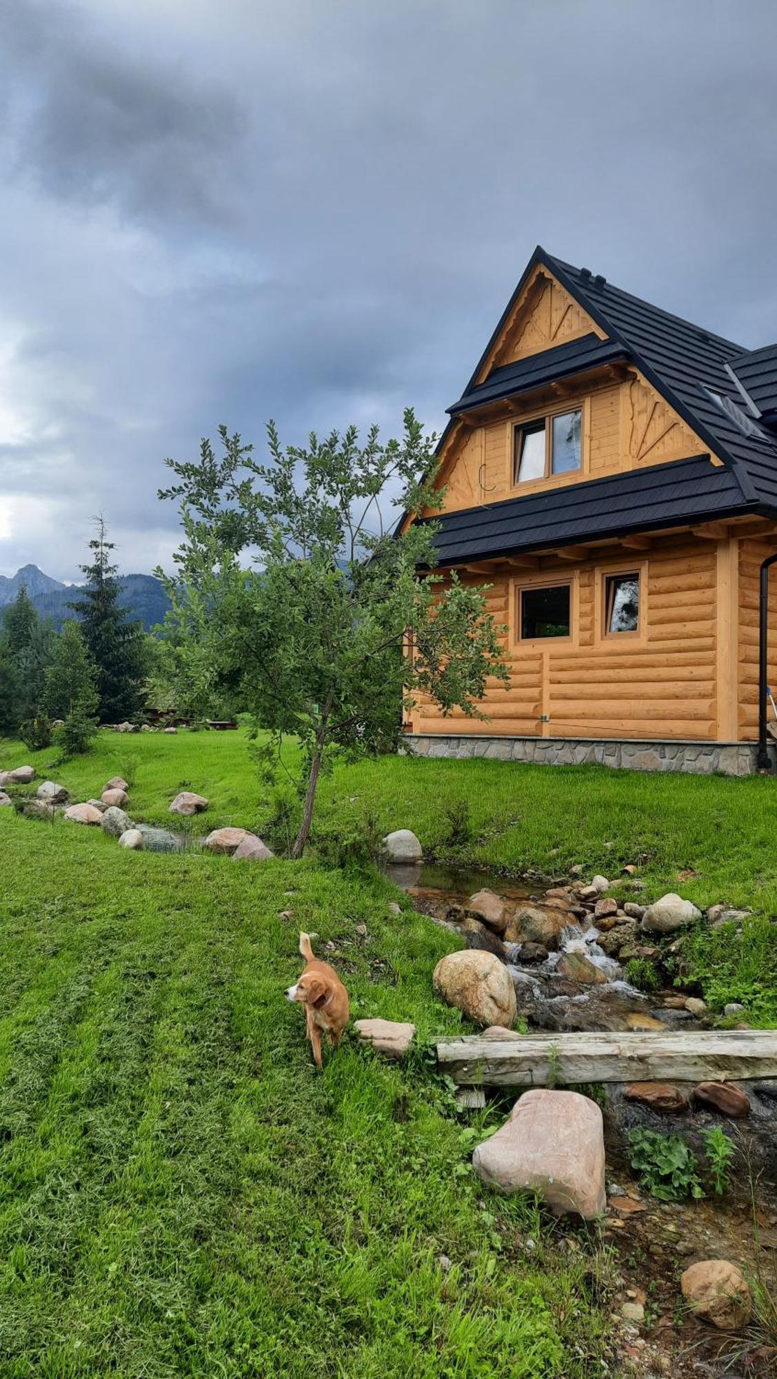 Goralska Chata Przy Dolinie Chocholowskiej Witow  Exterior photo
